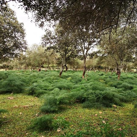 La Fuensanta Villa Hornachuelos Luaran gambar