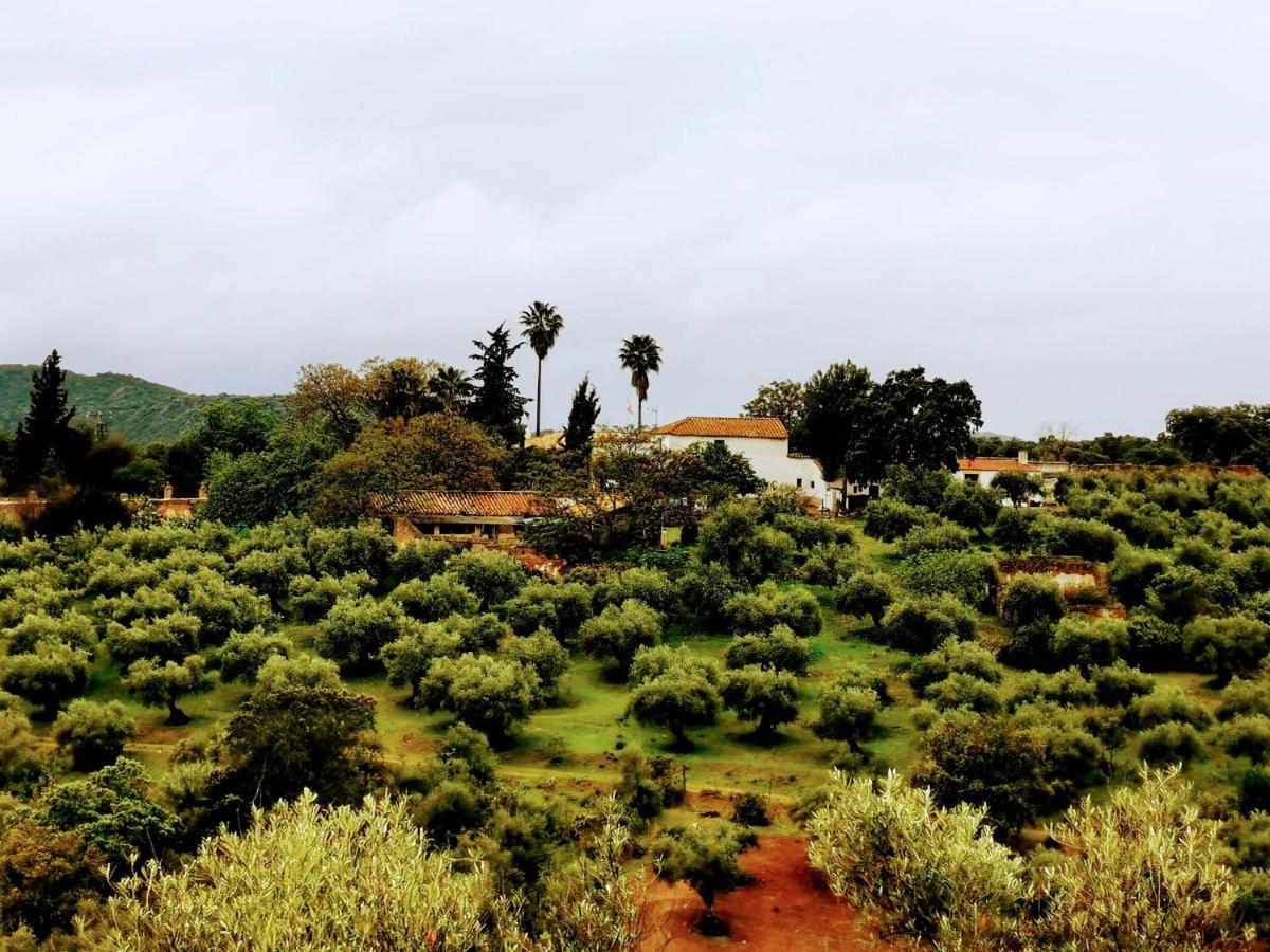 La Fuensanta Villa Hornachuelos Luaran gambar